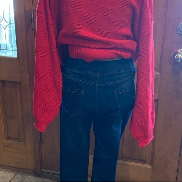 JVINI pull on demon pants size large EUC - Picture 2 of 3